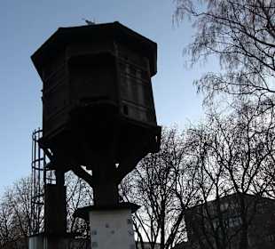 Stadtgarten Stuttgart