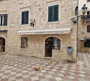 Ein Geschäft in der Altstadt mit Katze