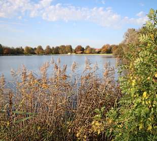 Blick auf den Hohnsensee