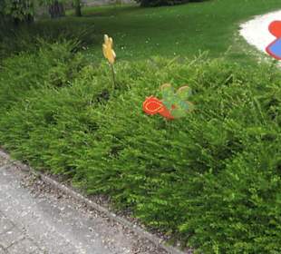 Benediktinerkloster Lorch