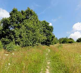 Impressionen aus dem Naturschutzgebiet