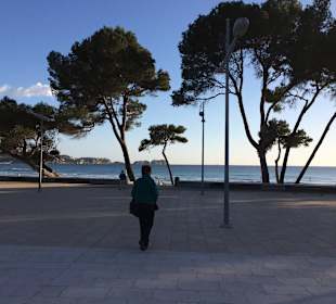 Paguera am 1. Tag, Strand