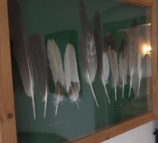Museum Rosenburg