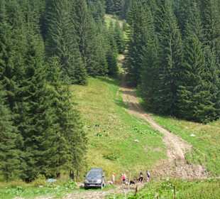 Parcul Natural Apuseni