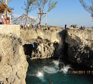 Klippenspringer Rick´s Cafe