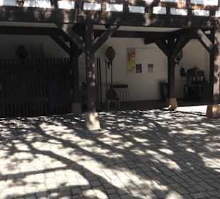 Theodor Zink Museum