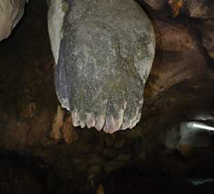 Tiger Cave Tempel (Wat Tham Sua)
