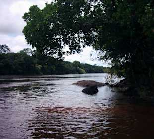 View at Rio Caura