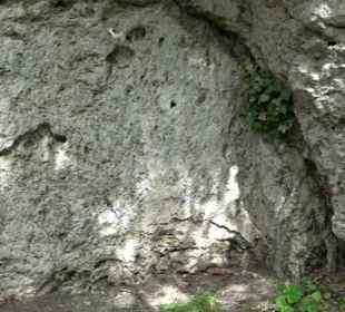 Wallersteiner Felsen