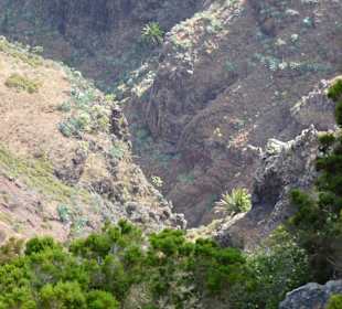 Impressionen La Gomera
