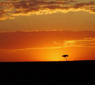 Sonnenaufgang Masei Mara