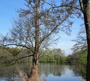 Impressionen vom Weg um den Hasportsee