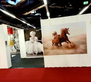 Wohnen - Bilderausstellung