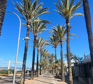 Strandpromenade Playa/Platja de Palma