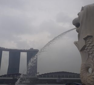 Merlion MBS