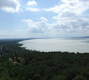 Aussicht in Richtung Osten