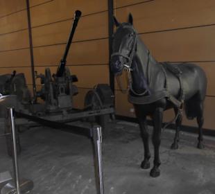 Da war das Pferd noch unverzichtbar