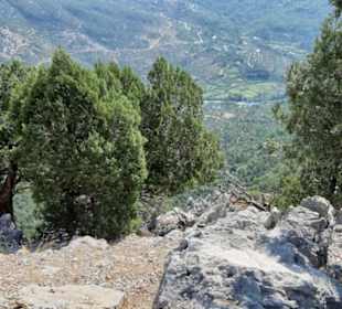 Aussicht zum Creen Canyon