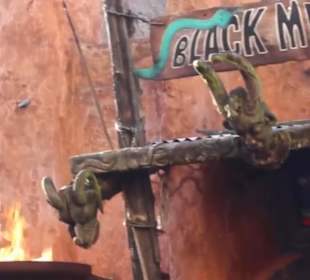 Deep in Africa - Black Mamba