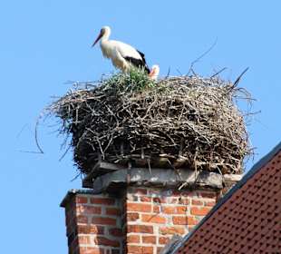 Dorfrundgang Wienhausen 