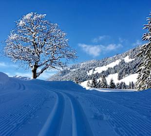 Wandern Balderschwang