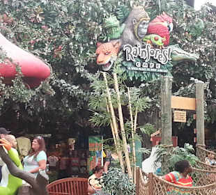 Rainforest Caffe