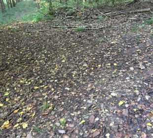 Keltische Grabstätten Stockach