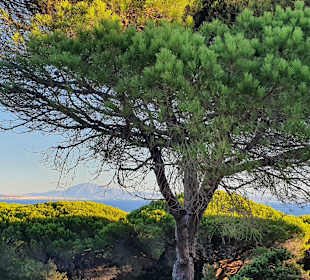 Wandern Conil de la Frontera