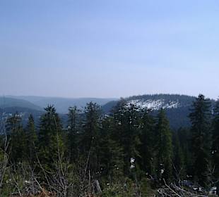 Ausblick von der Hornisgrinde