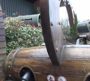 Fantasy - Der lustige Papagei