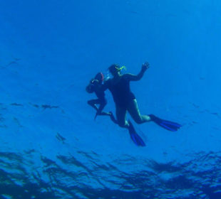 Akassia Hausriff im Juli