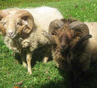 Erzherzog-Johann-Klause