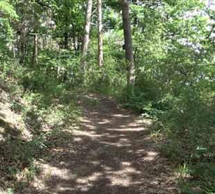 Wanderweg - Alter Steinbruch Pfaffenberg Runde