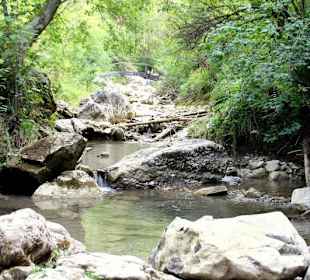 Homole Schlucht/ Jaworki- Ausflug aus Szczawnica 