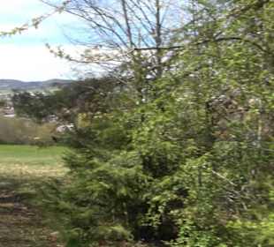 Rundweg am Beutenlay