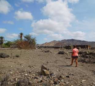 Ziegenfarm auf der Süd-Ost Tour 