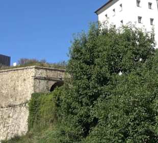 Batterie-Katz