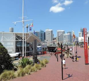 Mit dem Hop-on hop-off Bus in Sydney unterwegs