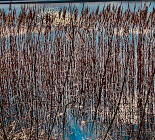 Uferpromenade Krakow am See