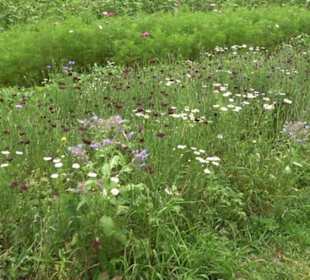 ALB-GOLD Naturgarten