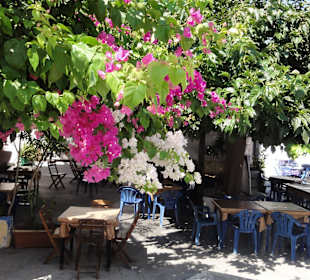 Vati - taverna Petrino