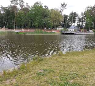 Seewoog in Ramstein-Miesenbach