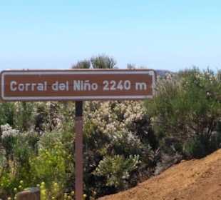  Parque Nacional del Teide