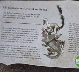Dinosaurier Museum Altmühltal