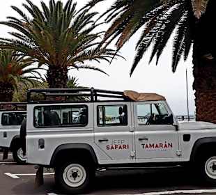 Jeeptour Angagebirge - Taganana