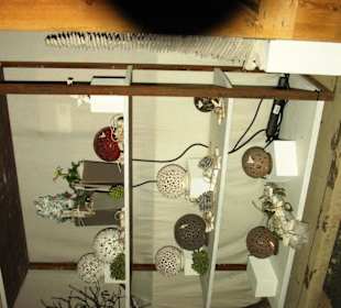 Weihnachtsverkauf - Artikel