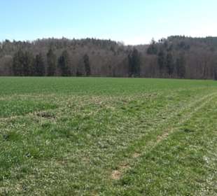 Geschichtlicher Lehrpfad Einsiedel