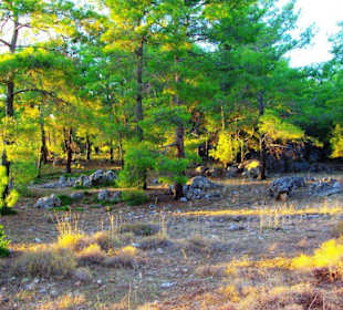 Sulahikulle - Vergessene Stadt