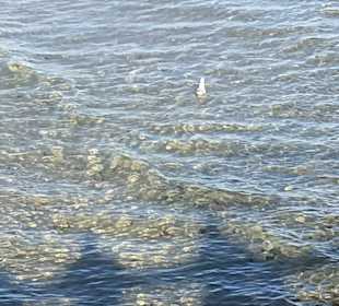 Wandern Sellin auf Rügen