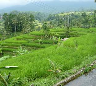 Weltkulturerbe, Reisfelder